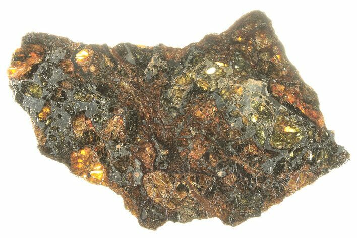 Polished Admire Pallasite Meteorite ( g) Slice - Kansas #263322